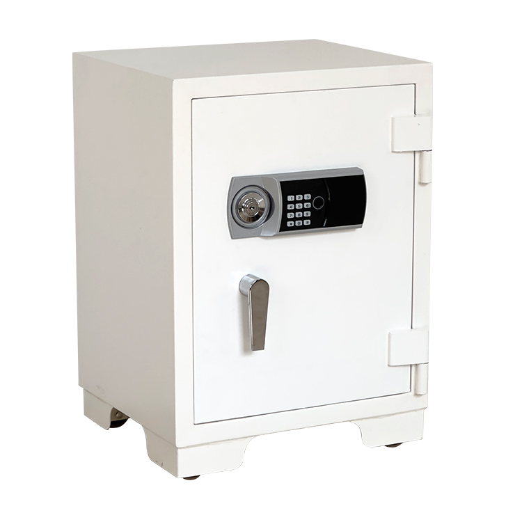 Bank Home Office Deposit Secur - Lockbox Key Secure 评论和价格